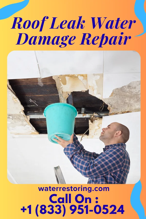 Roof Leak Water Damage Repair in Frizzleburg, PA