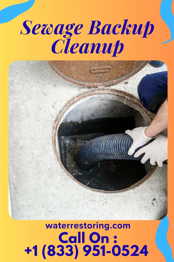 Sewage Backup Cleanup in Frizzleburg, PA