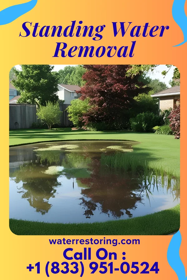 Standing Water Removal in Frizzleburg, PA
